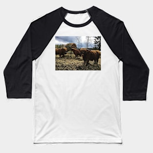 Scottish Highland Cattle Bulls 2383 Baseball T-Shirt